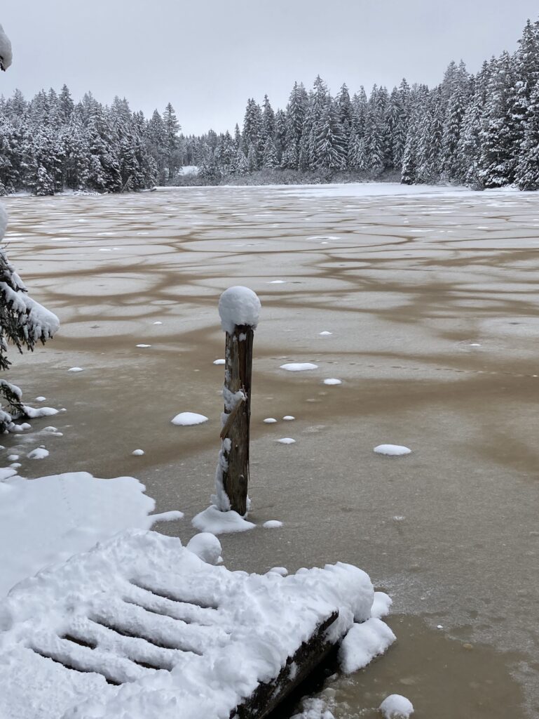 Étang de Gruère - hiver