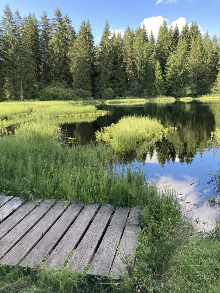 Étang de Gruère
