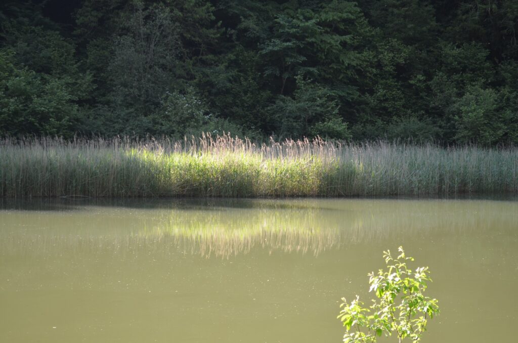Le Doubs 